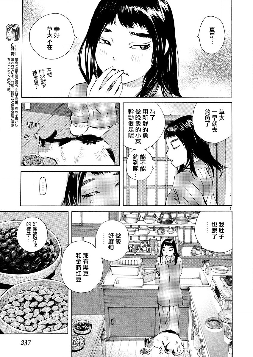 海岛与少女还有猫 第19话 海岛与少女还有猫漫画 动漫之家手机漫画