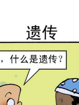 乌龙江湖七_4