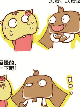搞怪猫第三辑十五天_4