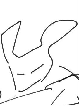 兔子人