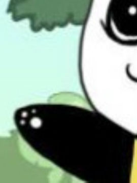 动物小趣事_4