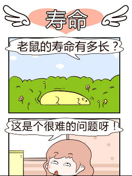 彩舞团之寿命_4