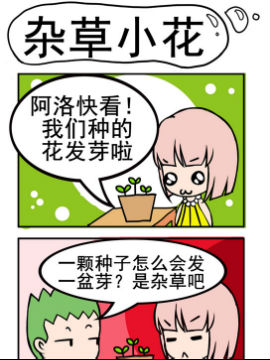小菇和阿洛之杂草小花_4