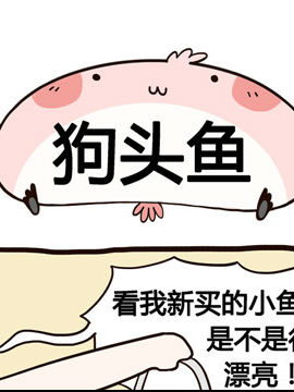 share棒棒日之狗头鱼_4