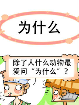 方脑壳男女之十二_4