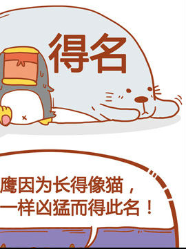 你很奇葩你造吗十五_4