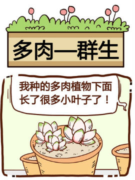 你对植物知多少之群生_4