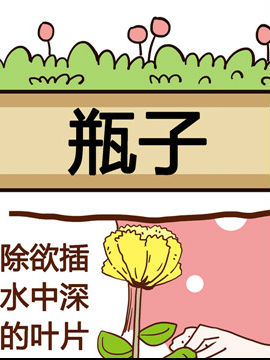 你对植物知多少之瓶子_4