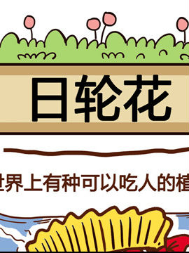 你对植物知多少之日轮花_4