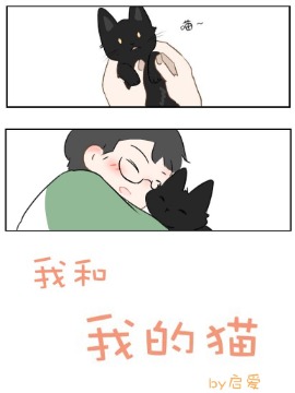 我和我的猫