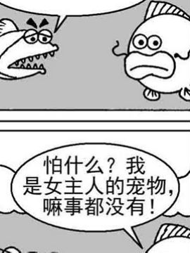 超级鱼乐汇12_4