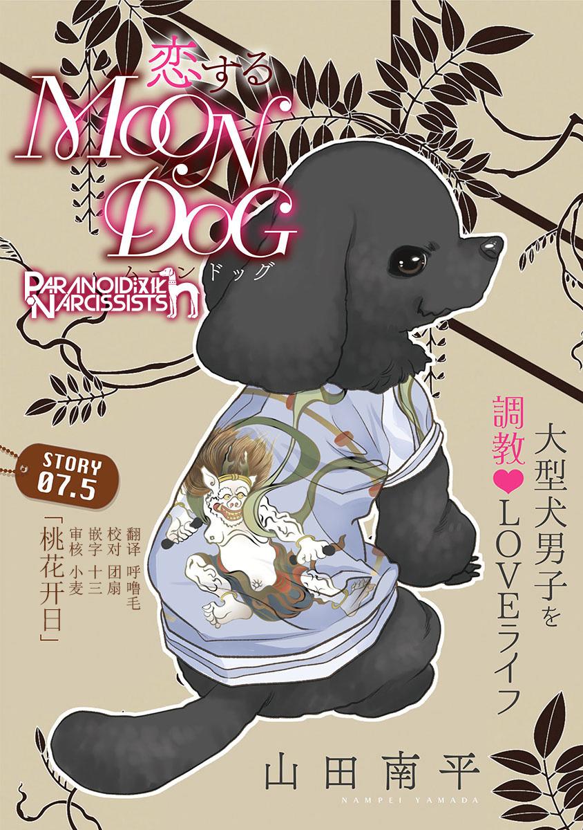 恋上月犬男子 第7 5话 恋上月犬男子漫画 动漫之家手机漫画