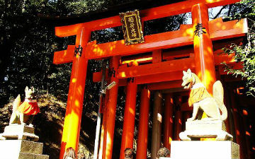 圣地巡礼去“朝圣”！那些动漫中真实存在的神社