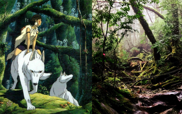 跟动画去旅行 在屋久岛寻找幽灵公主仙气森林