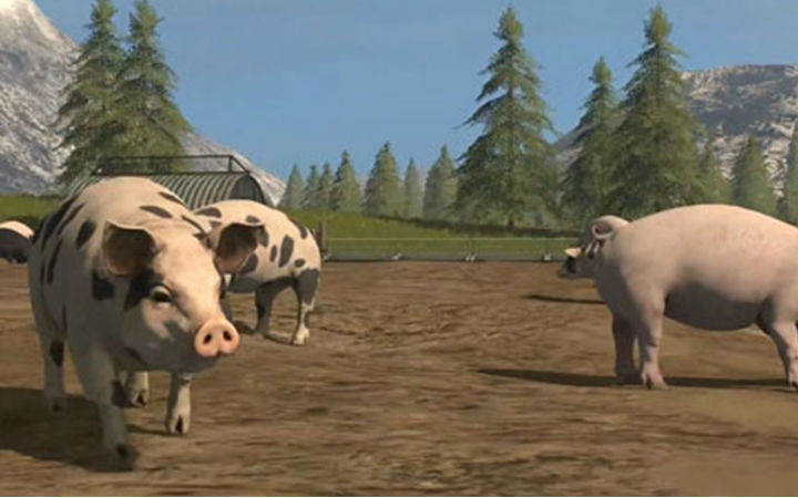 猪也不能养了！《模拟农场》引发动物保护组织不满