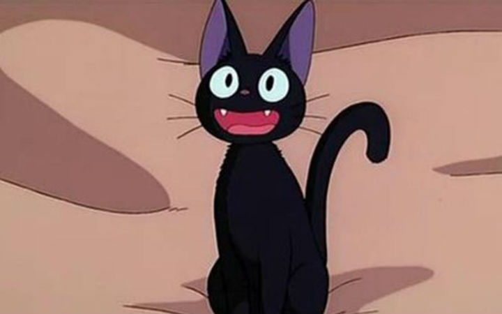 LINE调查最喜欢的猫角色 《魔女宅急便》中的吉吉排第一