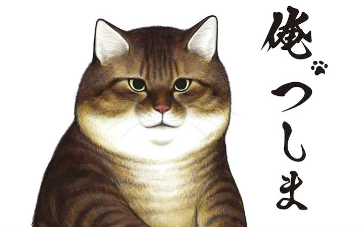 猫咪漫画《我是津岛》动画化！今夏开始播出