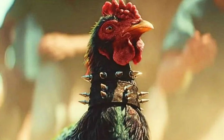 《孤岛惊魂6》的斗鸡小游戏遭动物保护组织PETA抗议