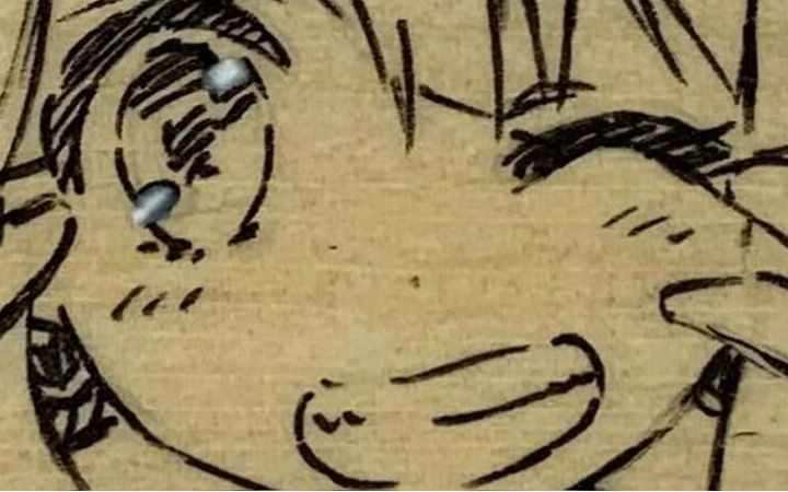 《魔法少女伊莉雅》公开新年绘马 动画十周年企划进行中