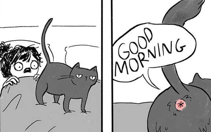 爱猫人士必看 漫画家笔下的《猫奴的日常》