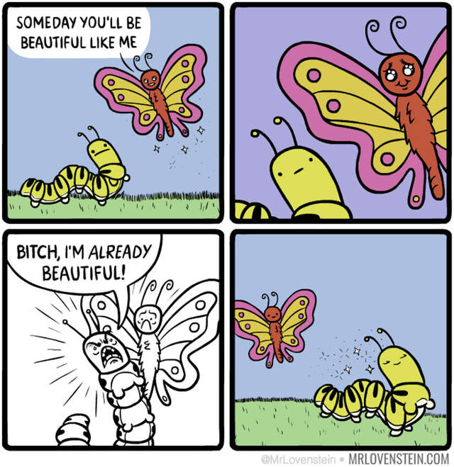 1482131208630213.jpg q5_SpaWZkaWYqw.jpg