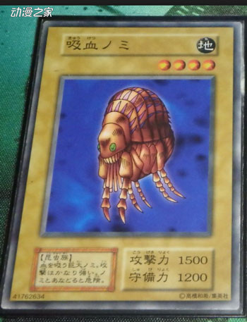 吸血跳蚤初期.jpg