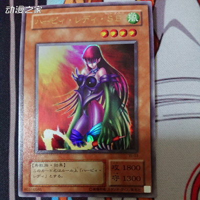 鹰身女郎sb.jpg