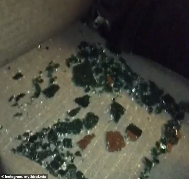 18099896-7430613-The_shattered_glass_from_the_car_window_following_the_shooting_M-m-40_1567678079436.jpg