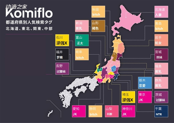 Komiflo公开日本各地区最有人气的本子类型
