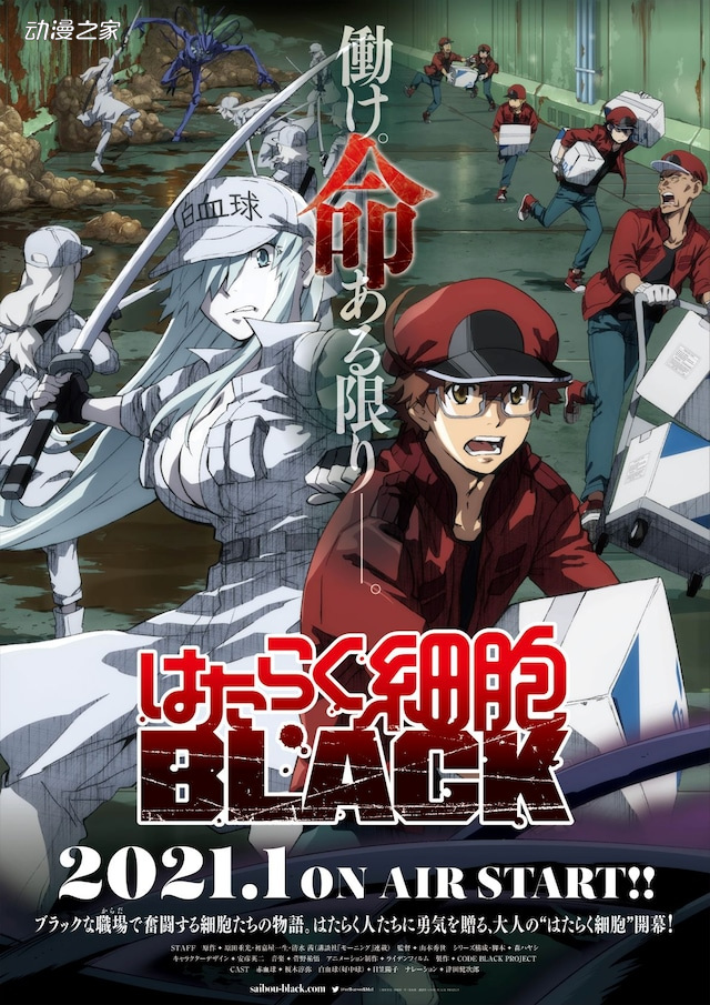 《工作细胞BLACK》2021年1月TV动画化！