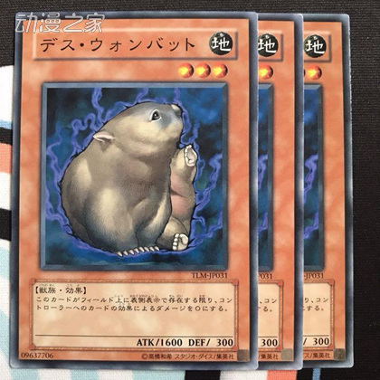 死亡袋熊.jpg