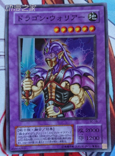龙战士.jpg