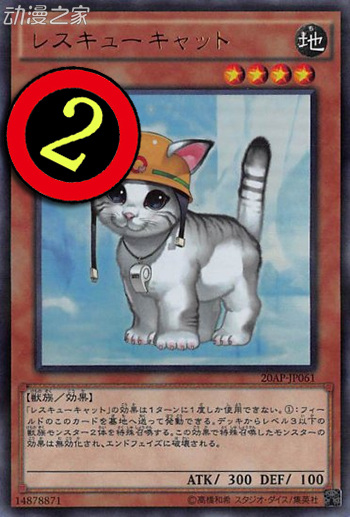 救援猫-准.jpg