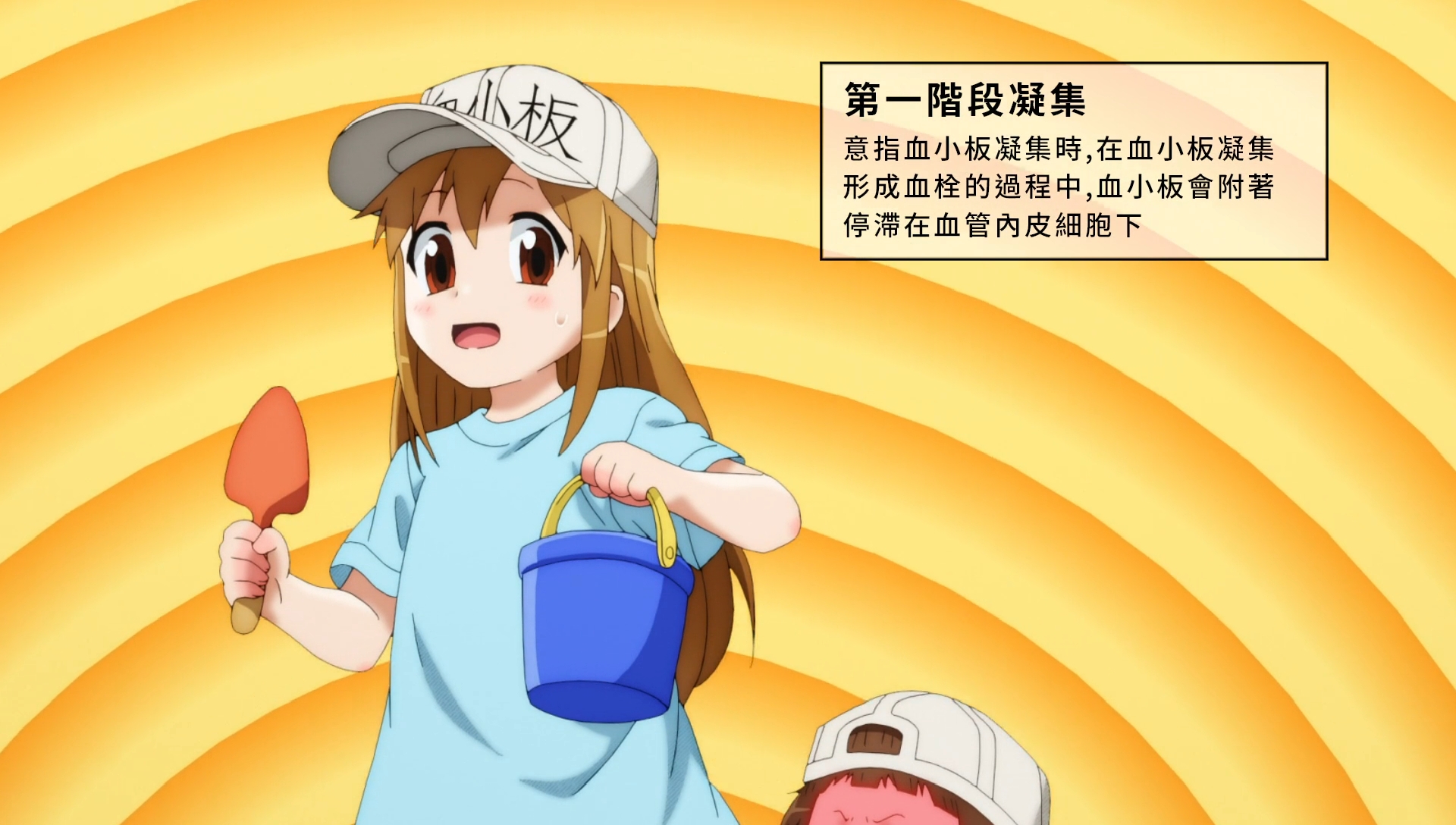 细胞.jpg