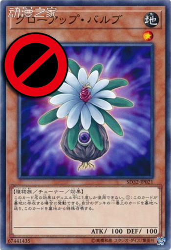 成长的鳞茎-禁.jpg
