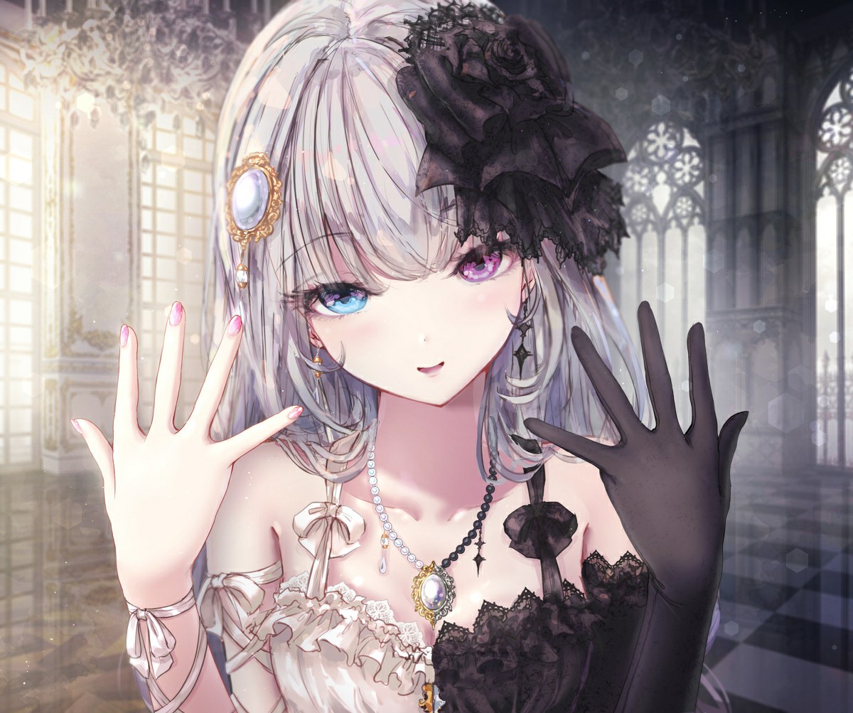 【动漫美图】P站美图推荐——白与黑特辑