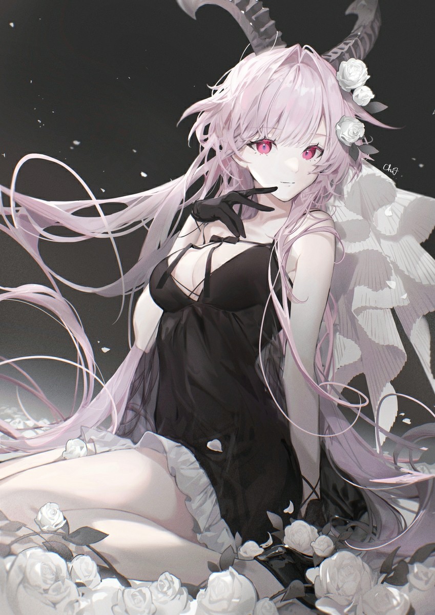 【动漫美图】P站美图推荐——白与黑特辑