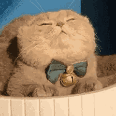 QQ图片20230403191538.gif