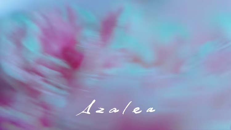  米津玄师新曲「Azalea」MV发布，为Netflix剧集主题曲  业内 第2张