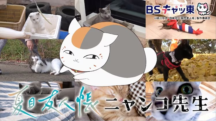 eton3s0h.png