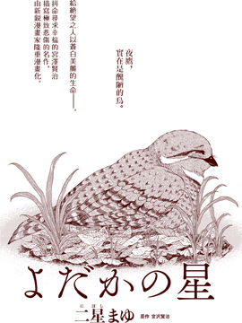 夜鹰之星_4