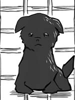 爱玩犬_4
